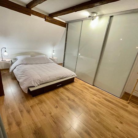Le Petit Linck - Typique Au Coeur De Colmar Apartment Luaran gambar