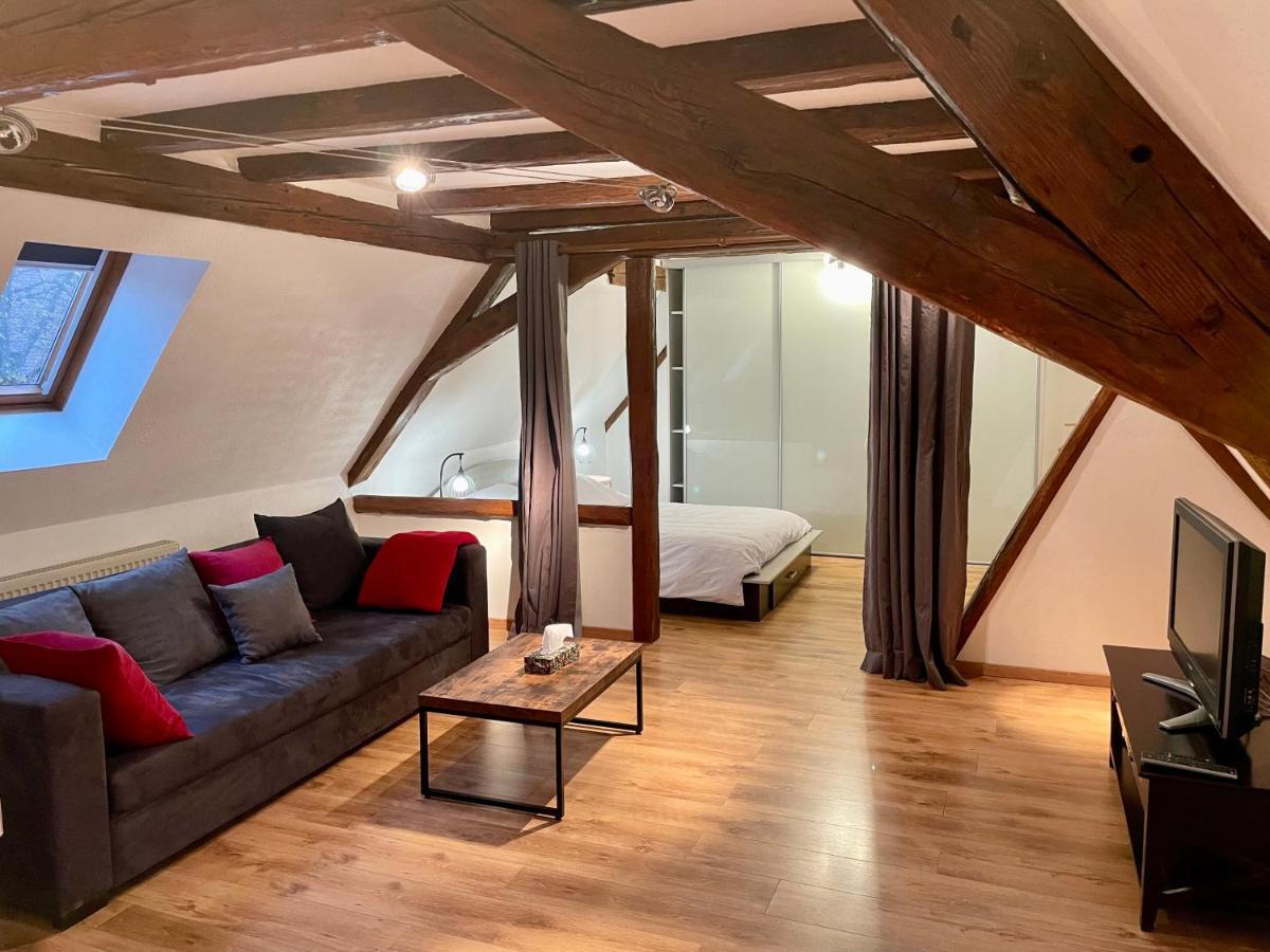 Le Petit Linck - Typique Au Coeur De Colmar Apartment Luaran gambar